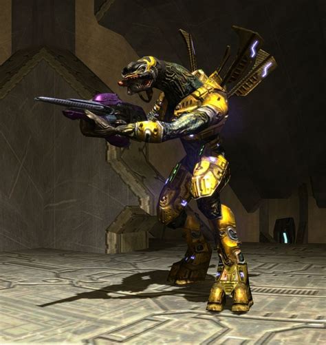 halo 2 transcript|halo 2 heretic.